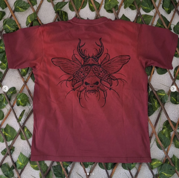 Captura de pantalla 2026-01-27 163922 Limited Edition Kong Over