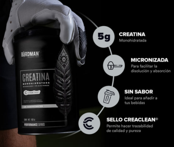 Creatina Birdman
