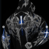 Death Blight Oversized Zip-up Hoodie (Pulse)