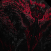 Captura de pantalla 2026-07-04 232326 Blood Wyvern Oversized T-shirt (Nightmare)
