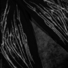 Captura de pantalla 2026-07-29 000139 Venom Texture Sweatpants (Void Black)