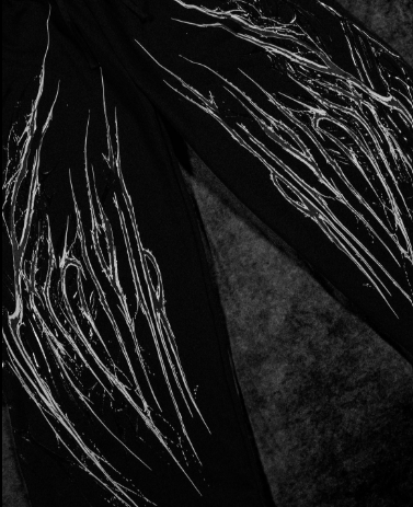 Captura de pantalla 2026-07-29 000139 Venom Texture Sweatpants (Void Black)