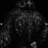 Captura de pantalla 2026-08-11 114257 BD Nightfall Hoodie