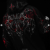 Captura de pantalla 2026-08-11 114305 BD Nightfall Hoodie