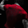 Captura de pantalla 2026-09-19 111136 Fallen Knight Compress (Crimson Red)
