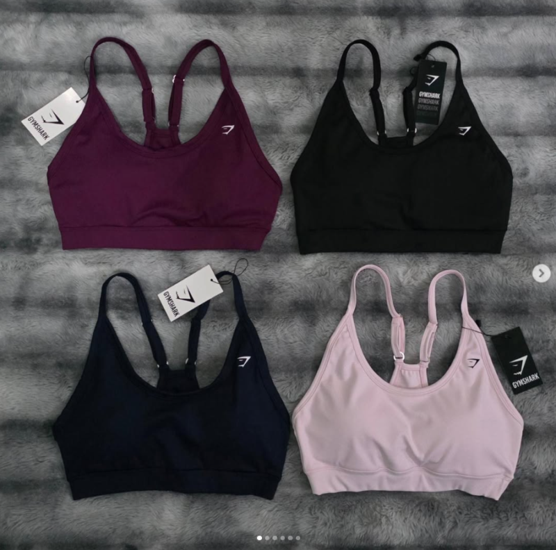 Captura de pantalla 2026-09-24 073419 Essential GS Sport Bra