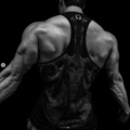 Captura de pantalla 2026-09-24 073754 BD Skull Stringers